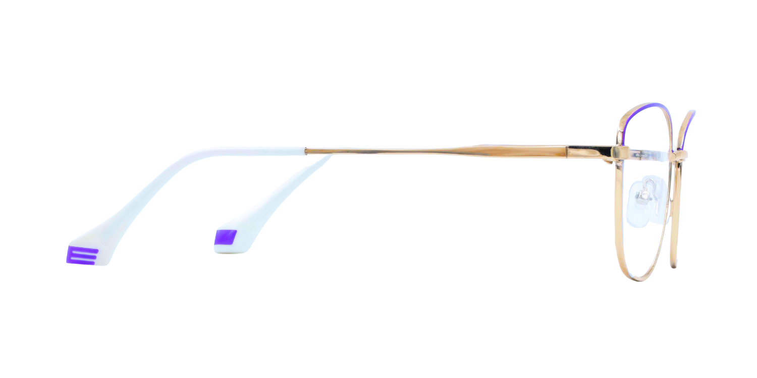 Full Rim Cat Eye Classic Eyeglasses PY6617