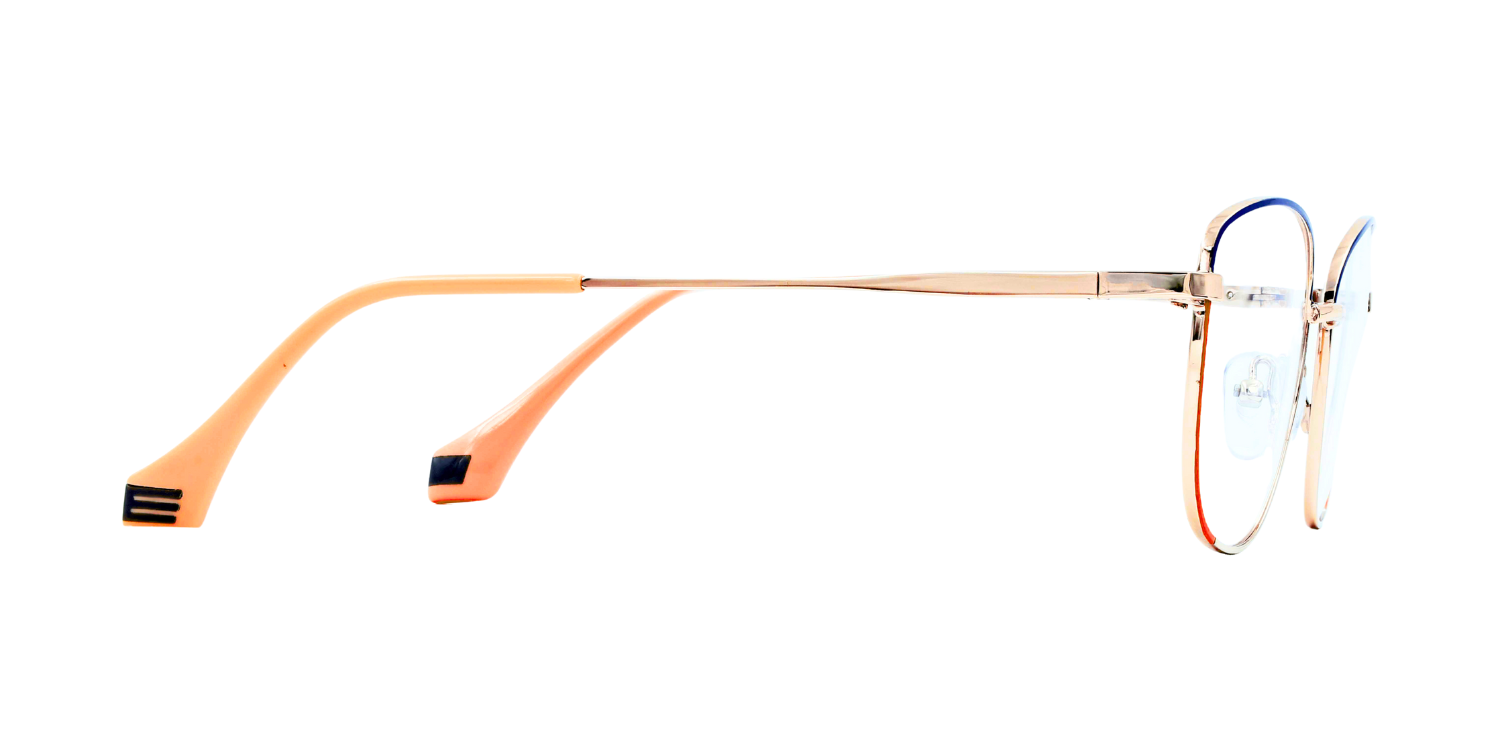 Full Rim Cat Eye Classic Eyeglasses PY6617