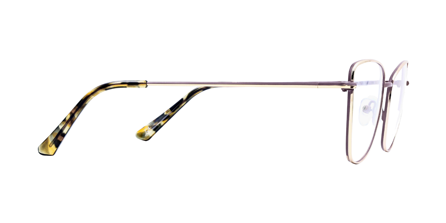 Full Rim Cat Eye Classic Eyeglasses PY7704