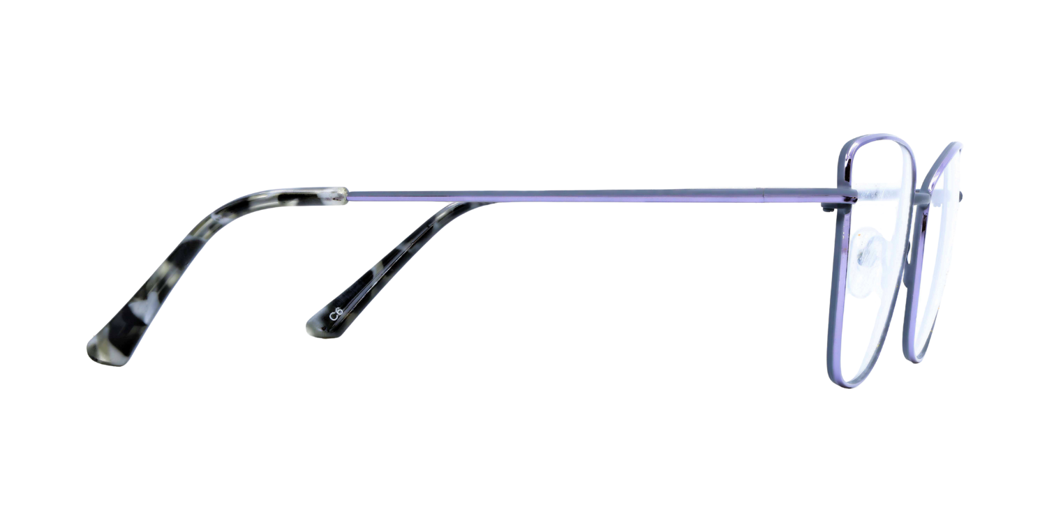 Full Rim Cat Eye Classic Eyeglasses PY7704