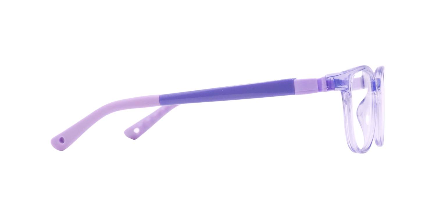 Full Rim Wayfarer Eyeglasses RB8005