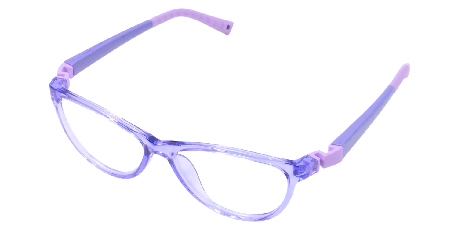 Full Rim Cat Eye Eyeglasses RB8008