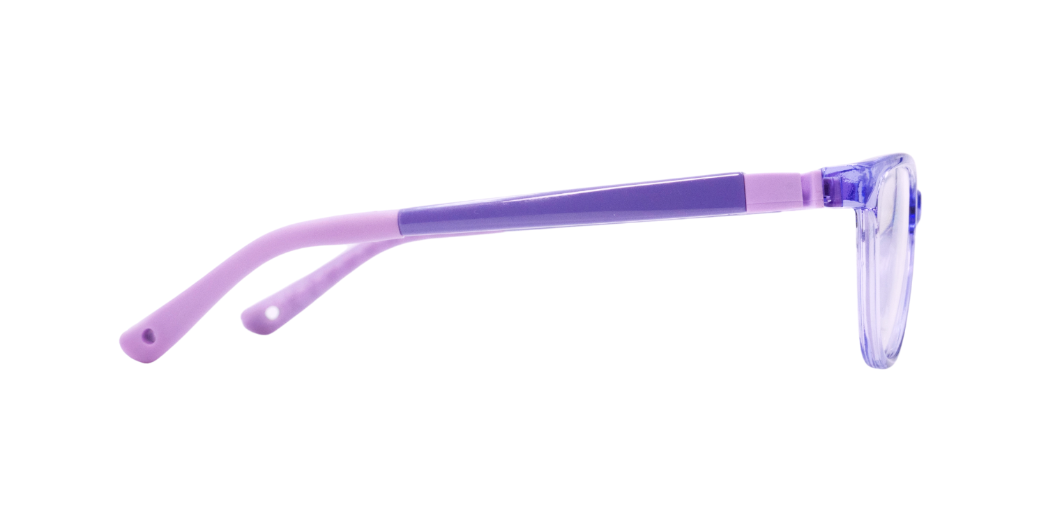 Full Rim Cat Eye Eyeglasses RB8008