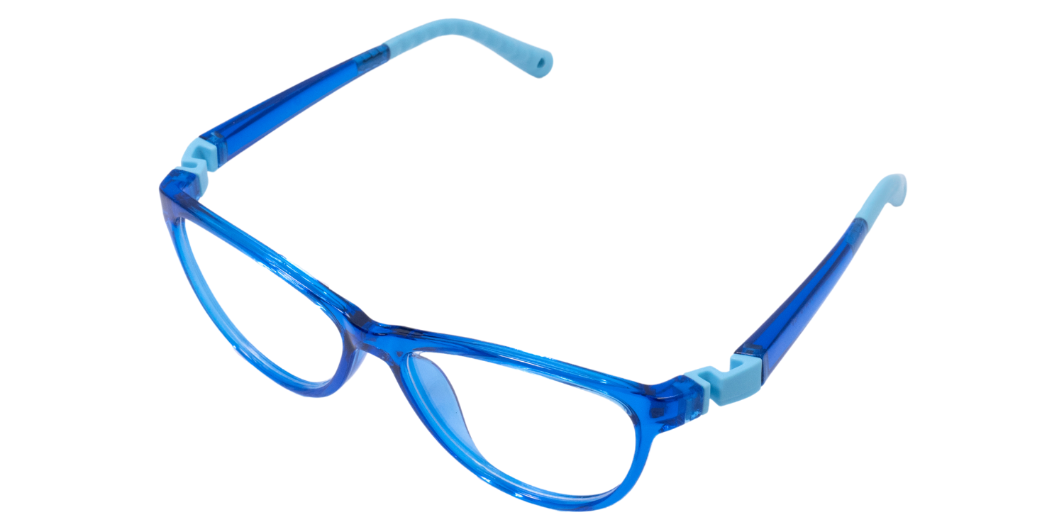 Full Rim Cat Eye Eyeglasses RB8008