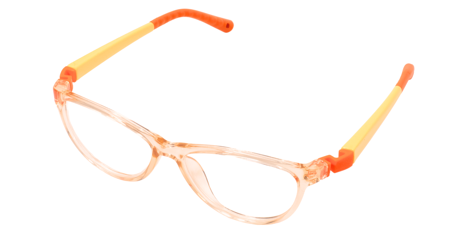 Full Rim Cat Eye Eyeglasses RB8008