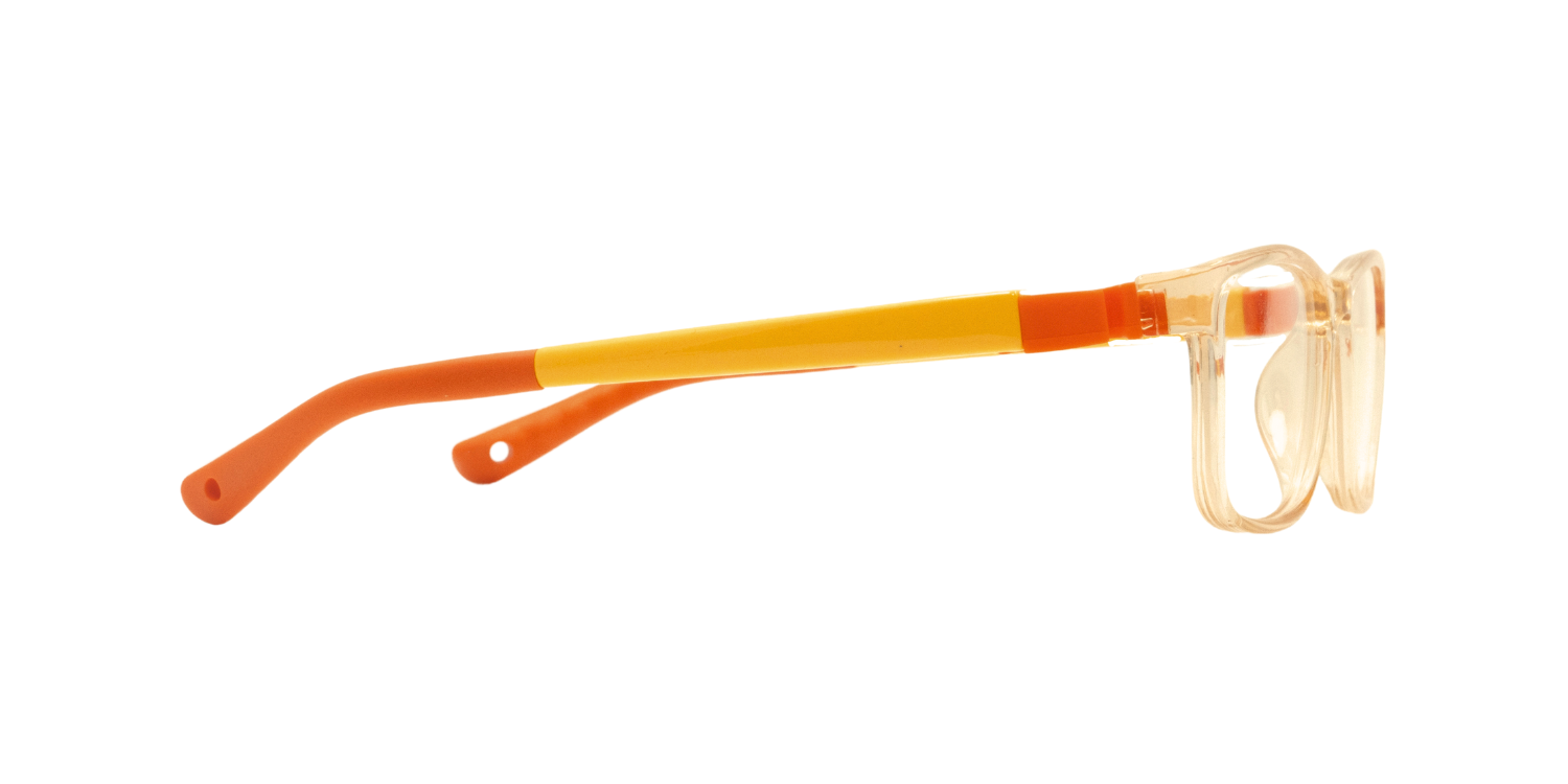 Full Rim Rectangle Eyeglasses RB8009