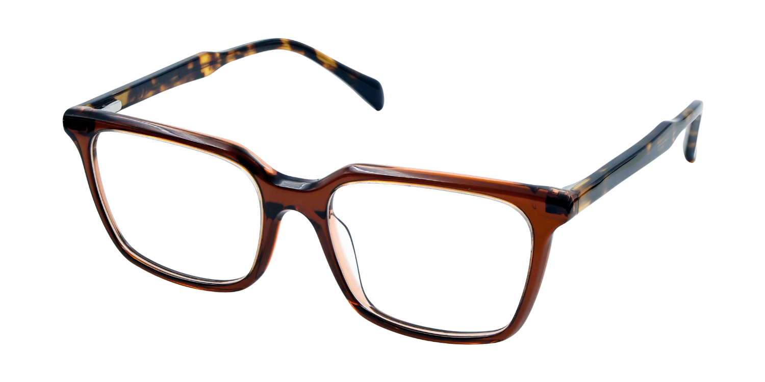 Full Rim Rectangle Classic Eyeglasses RDA10053