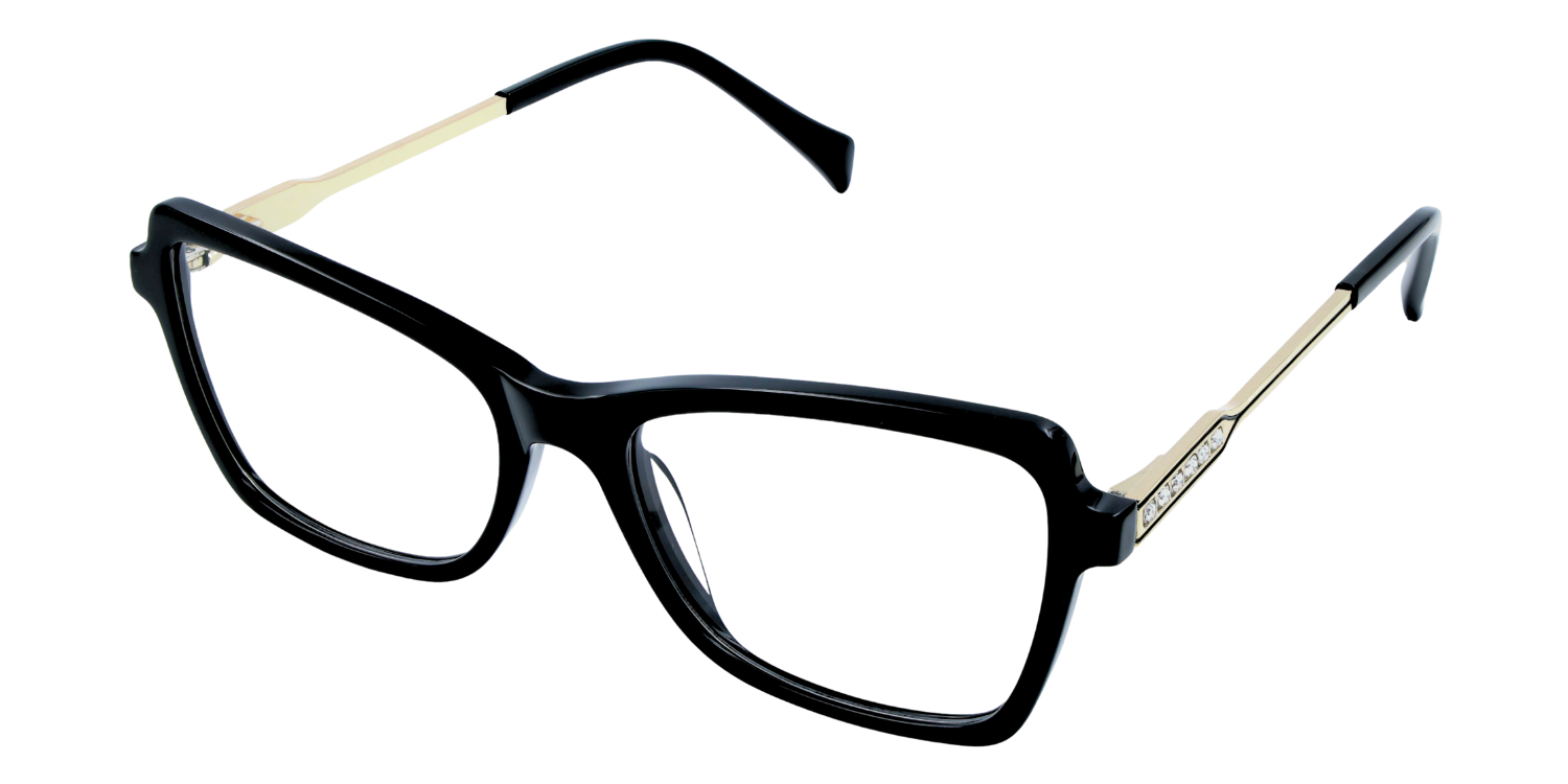 Full Rim Cat Eye Rectangle Classic Eyeglasses RD A10161