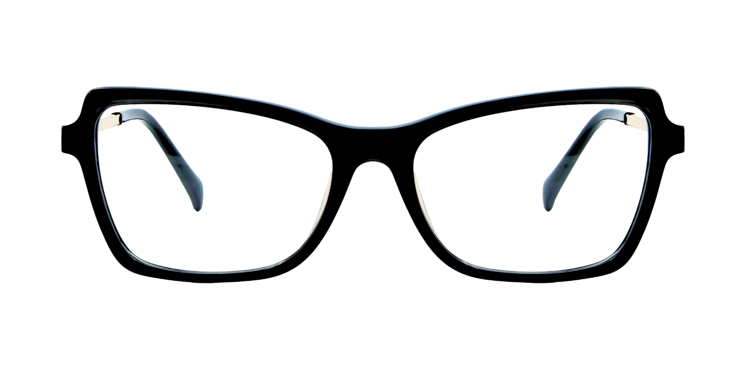 Full Rim Cat Eye Rectangle Classic Eyeglasses RD A10161