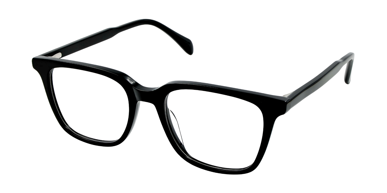 Full Rim Rectangle Classic Eyeglasses RDA5031PA