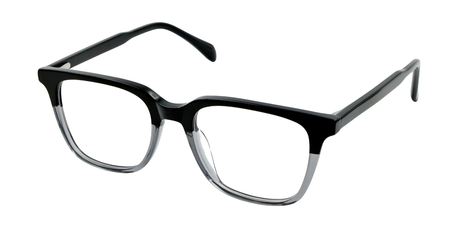 Full Rim Rectangle Classic Eyeglasses RDA5031PA