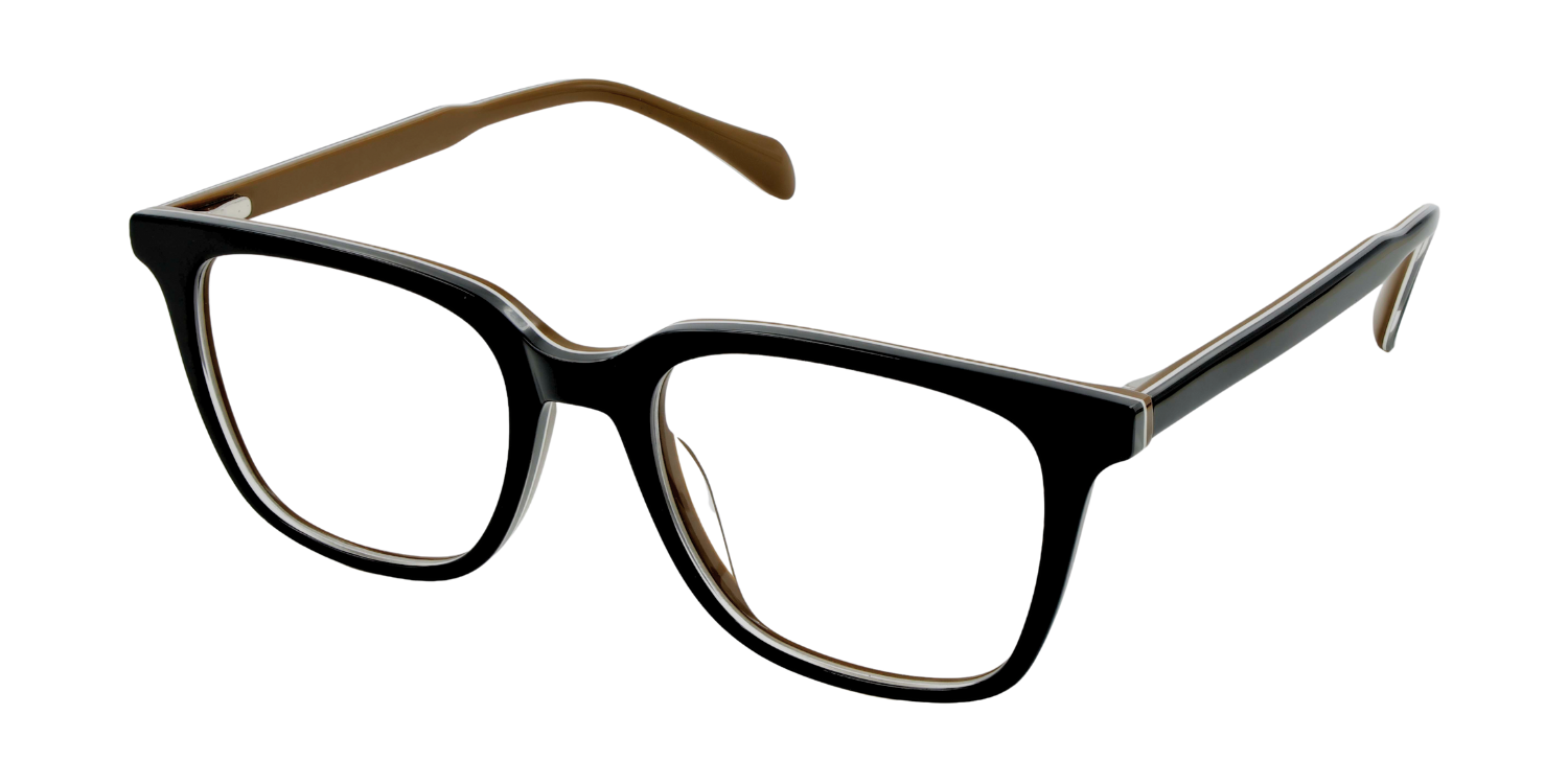 Full Rim Rectangle Classic Eyeglasses RDA5031PA