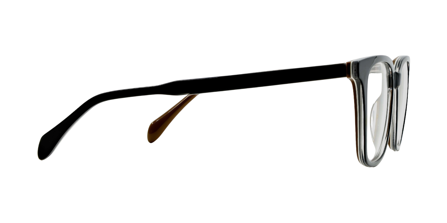 Full Rim Rectangle Classic Eyeglasses RDA5031PA