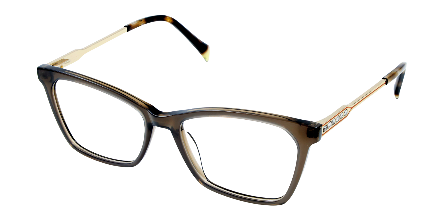 Full Rim Rectangle Classic Eyeglasses RD A10162