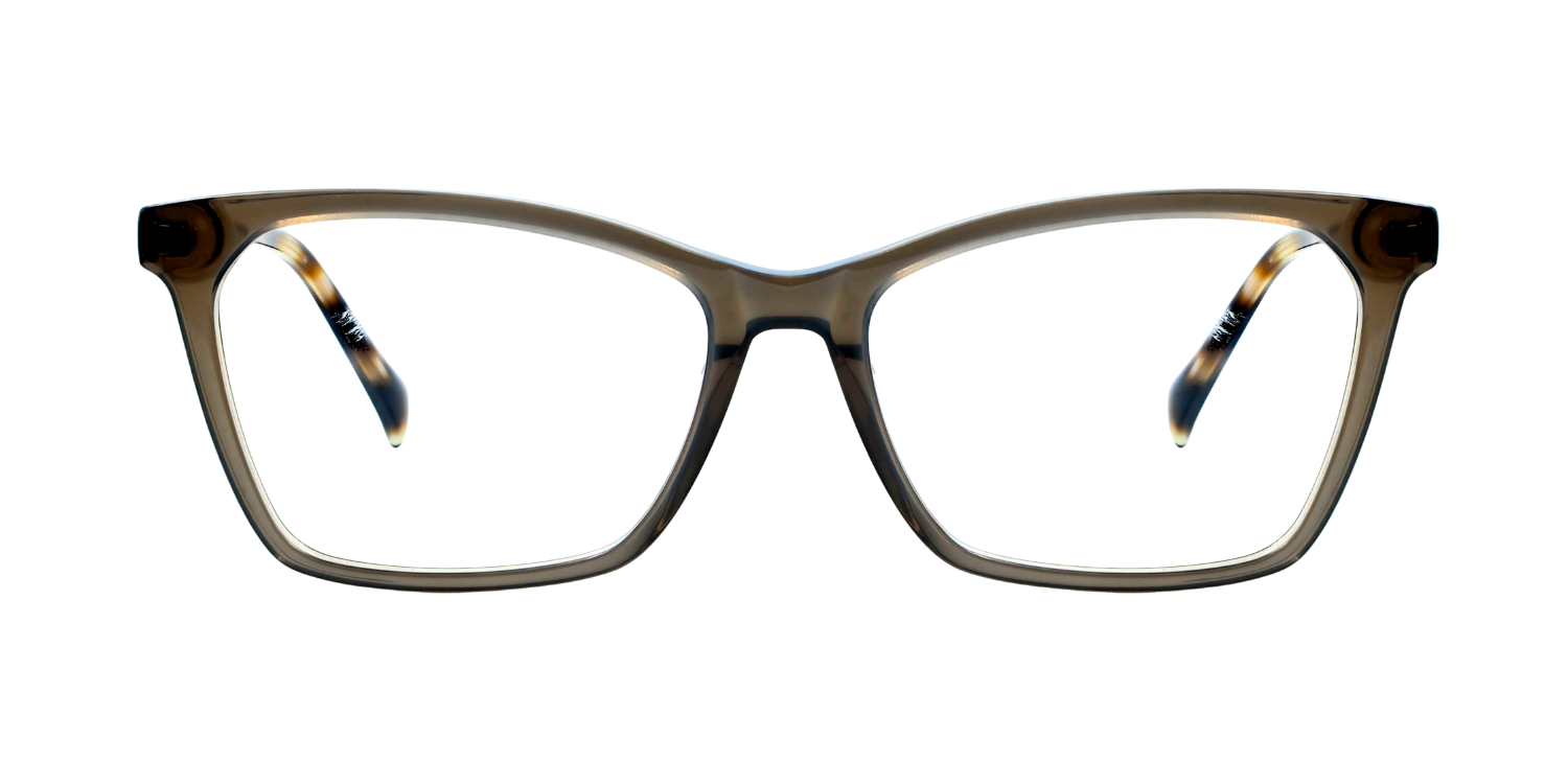 Full Rim Rectangle Classic Eyeglasses RD A10162