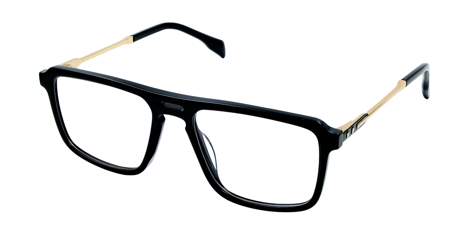 Full Rim Double Bridge Rectangle Classic Eyeglasses RD A10181