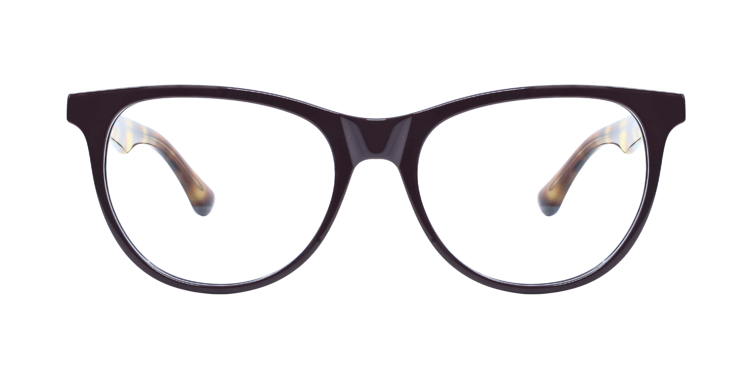 Full Rim Cat Eye Classic Eyeglasses RD R10168