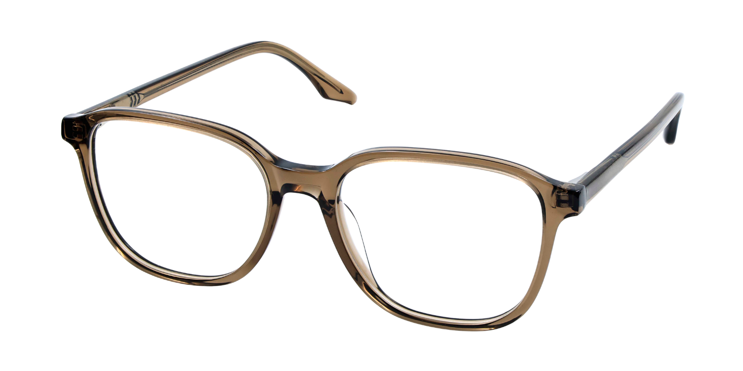Full Rim Square Classic Eyeglasses RD R5393