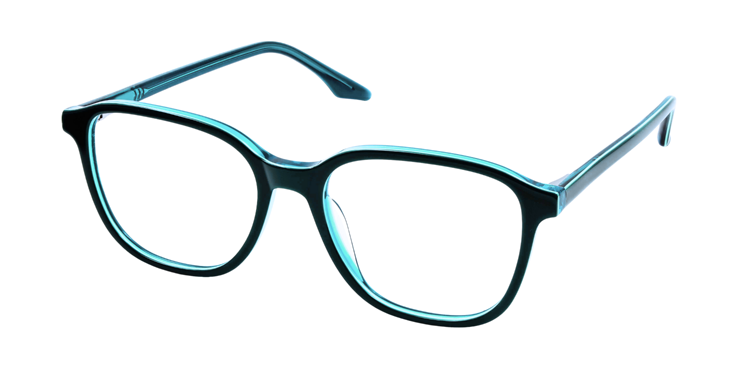 Full Rim Square Classic Eyeglasses RD R5393