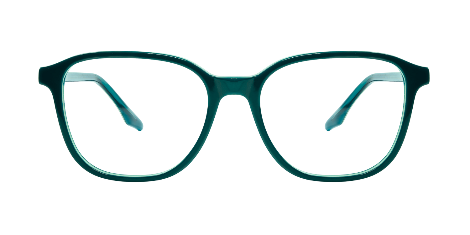 Full Rim Square Classic Eyeglasses RD R5393