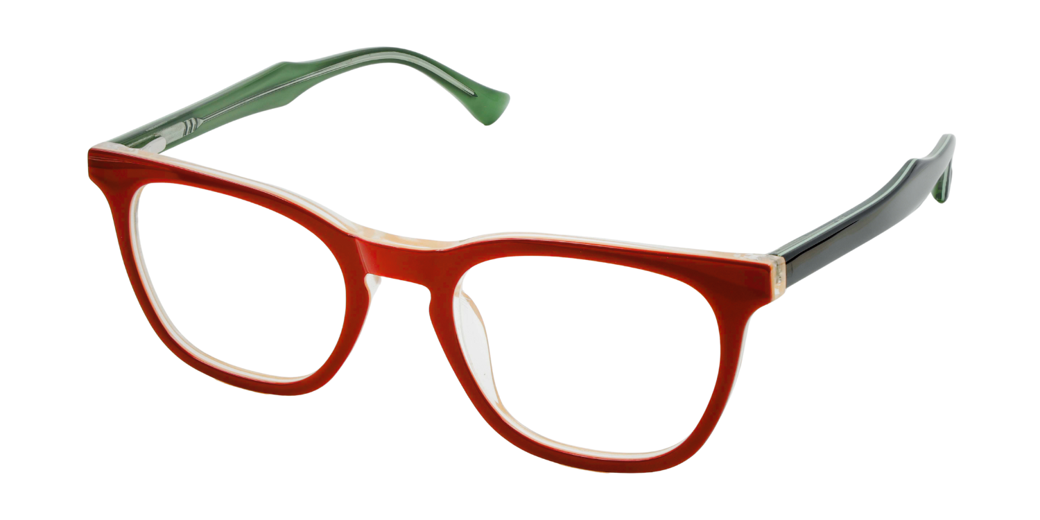 Full Rim Rectangle Classic Eyeglasses RD R5398-1