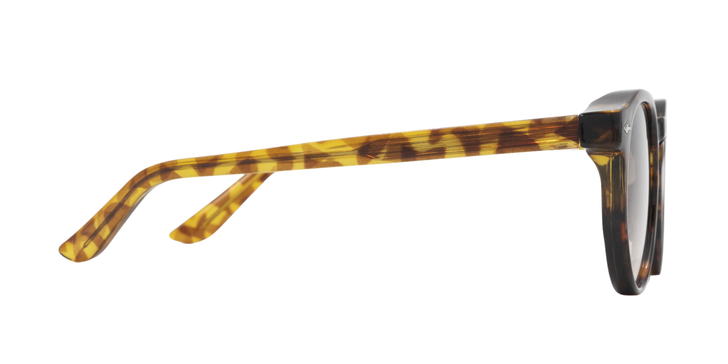 Full Rim Round Fashionista Classic Sunglasses UM9822